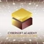 Cybersoft Technology Co., Ltd